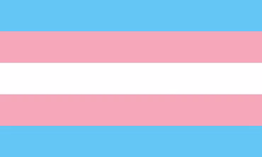 Transgender Pride Flagge – 90×150 cm Stofffahne mit Ösen für CSD & Festival