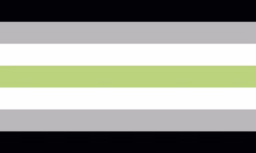 Agender Pride Flagge – 90×150 cm Stofffahne mit Ösen für CSD & Festival