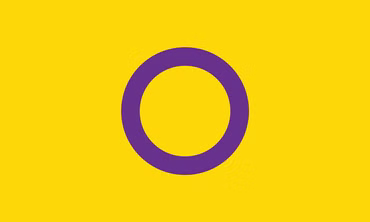 Intersex Pride Flagge – 90×150 cm Stofffahne mit Ösen für CSD & Festival