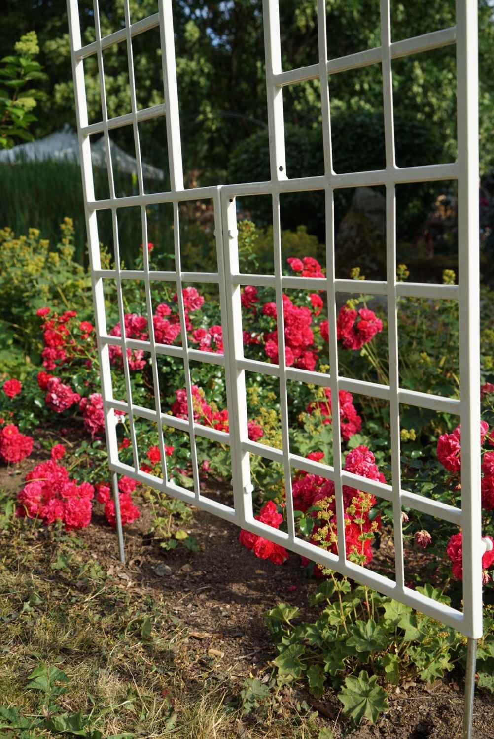 Landhaus Rankgitter Spalier Rankwand Rankhilfe Quattro Feuer Verzinkt Weiss
