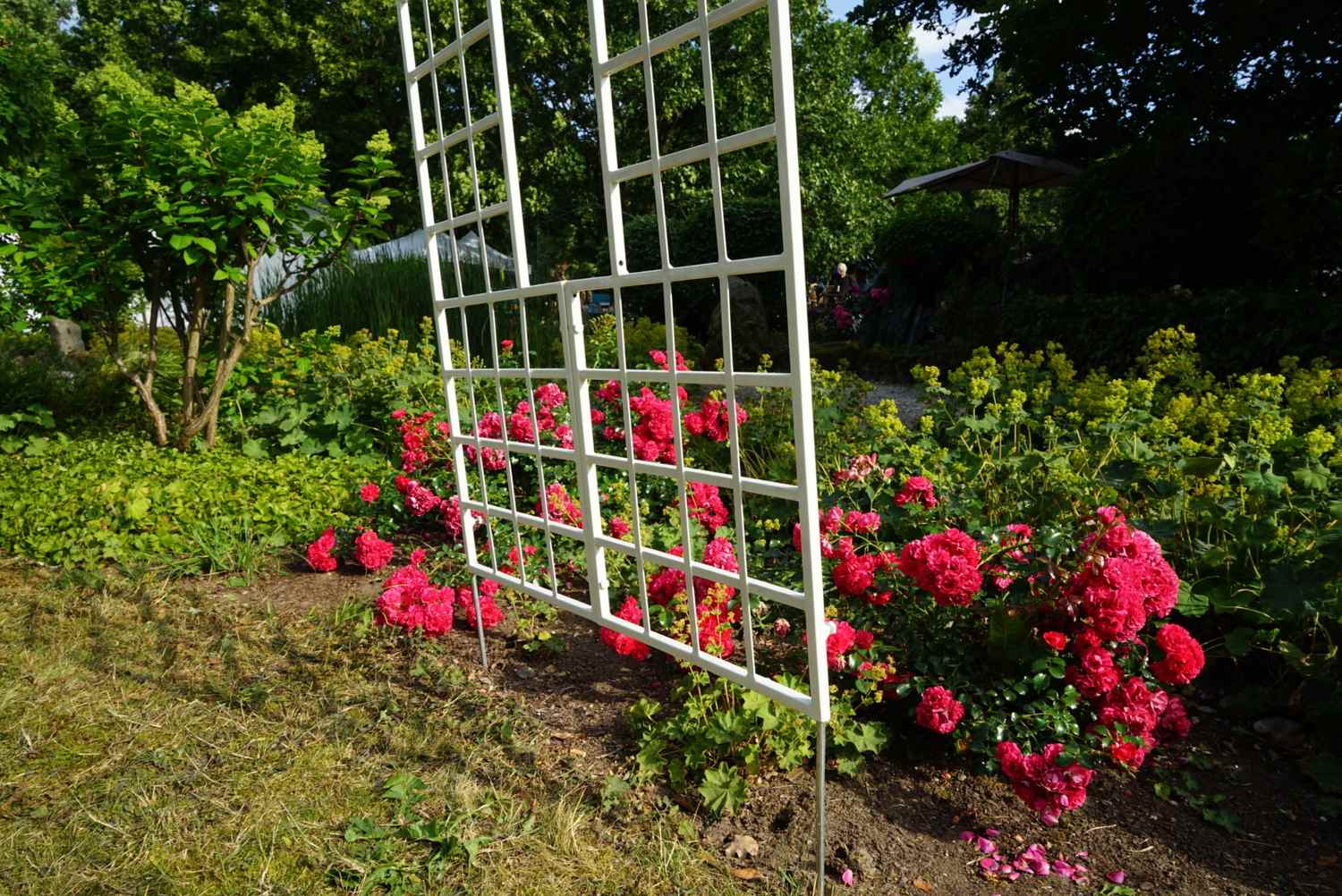 Landhaus Rankgitter Spalier Rankwand Rankhilfe Quattro Feuer Verzinkt Weiss