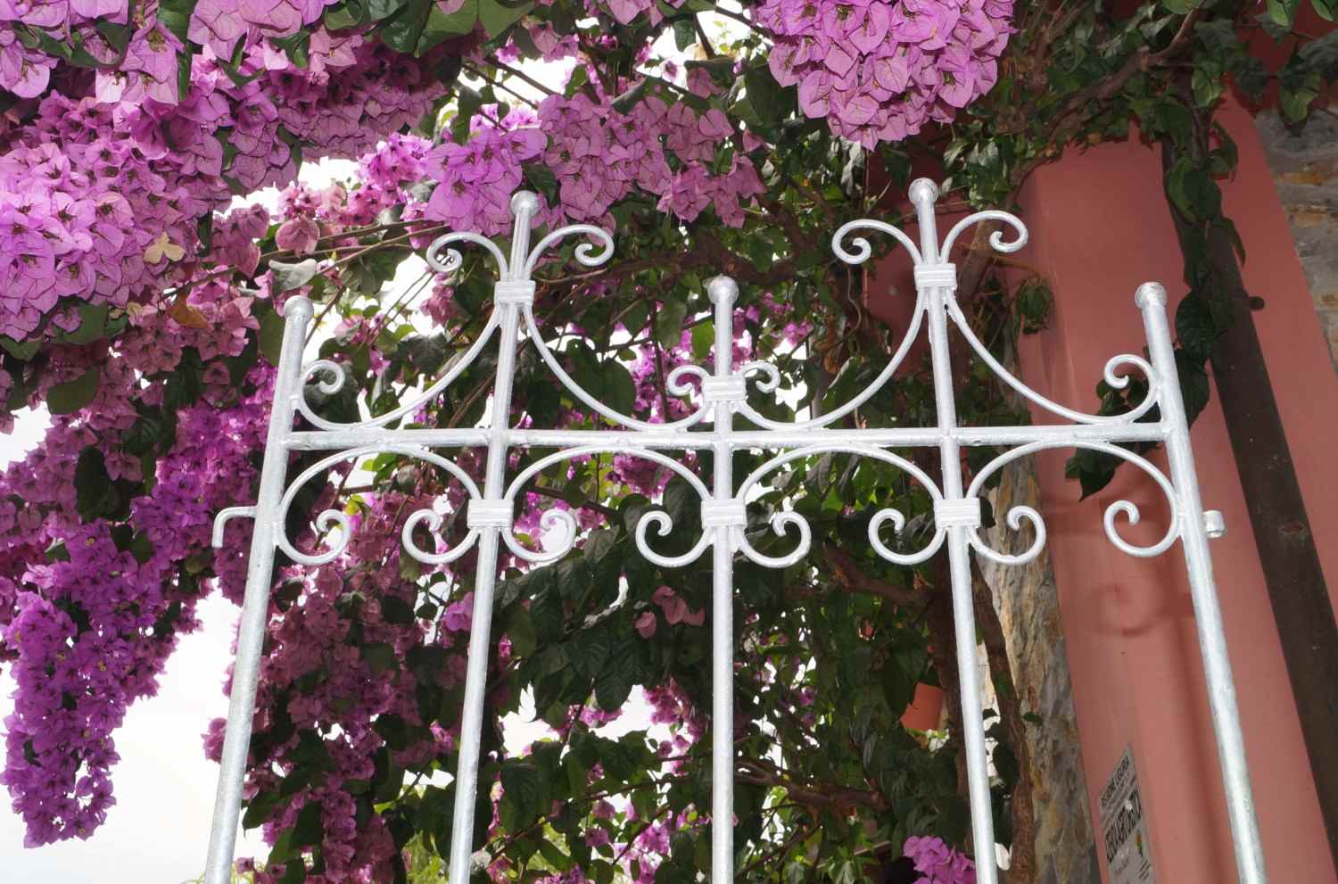 Metall Eisen Rankgitter Spalier Rankzaun Savona Feuer verzinkt Kletterrose