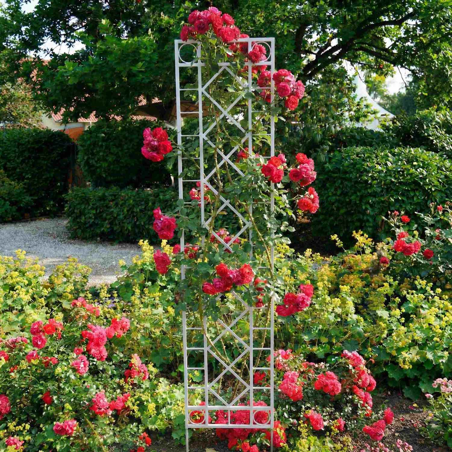 Metall Eisen Rankgitter Spalier Rankhilfe Wandgitter Meran 40 / 180 Feuer Verzinkt colour Duplex HQ