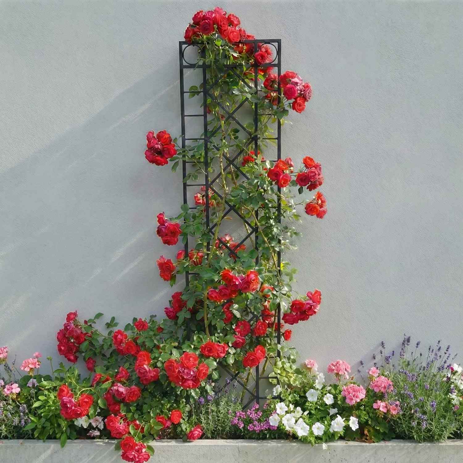 Metall Eisen Rankgitter Spalier Rankhilfe Wandgitter Meran 40 / 180 Feuer Verzinkt colour Duplex HQ