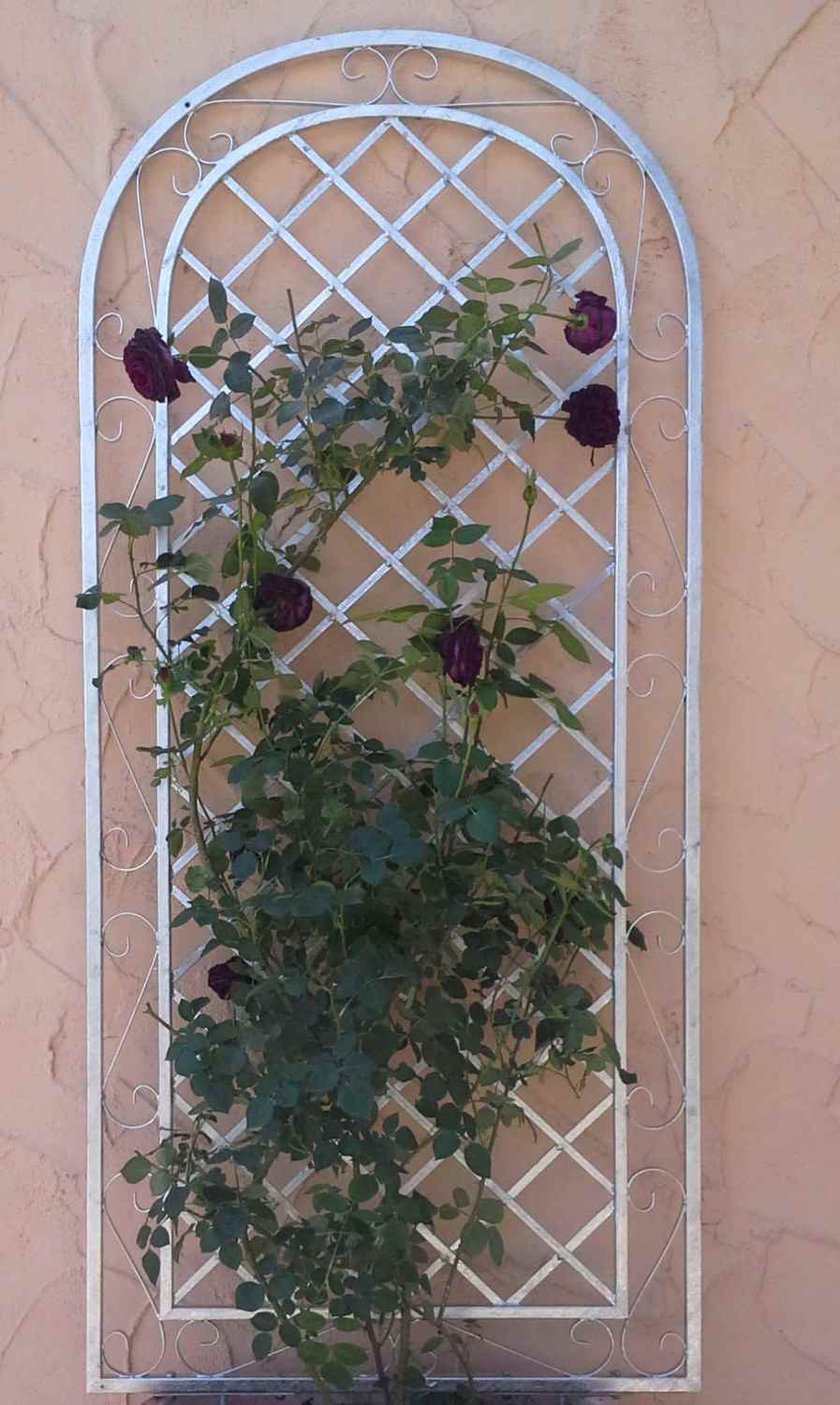 Rankgitter Spalier Rankhilfe Wandgitter Provence XXL 120/240 Feuer Verzinkt Rose Rankgitter Spalier Rankhilfe Wandgitter Provence XXL 120/240 Feuer Verzinkt Rose