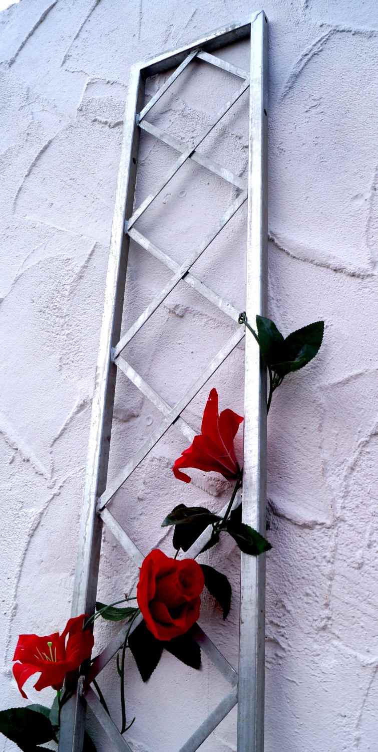 Wand Rankgitter Spalier Rankhilfe Wandgitter Bozen 25 200 Feuer Verzinkt