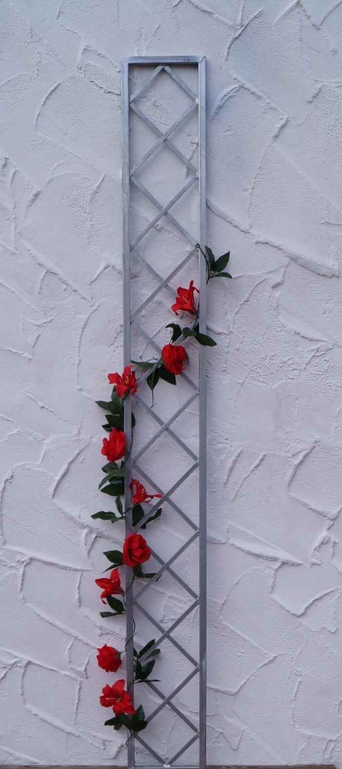 Wand Rankgitter Spalier Rankhilfe Wandgitter Bozen 25 200 Feuer Verzinkt