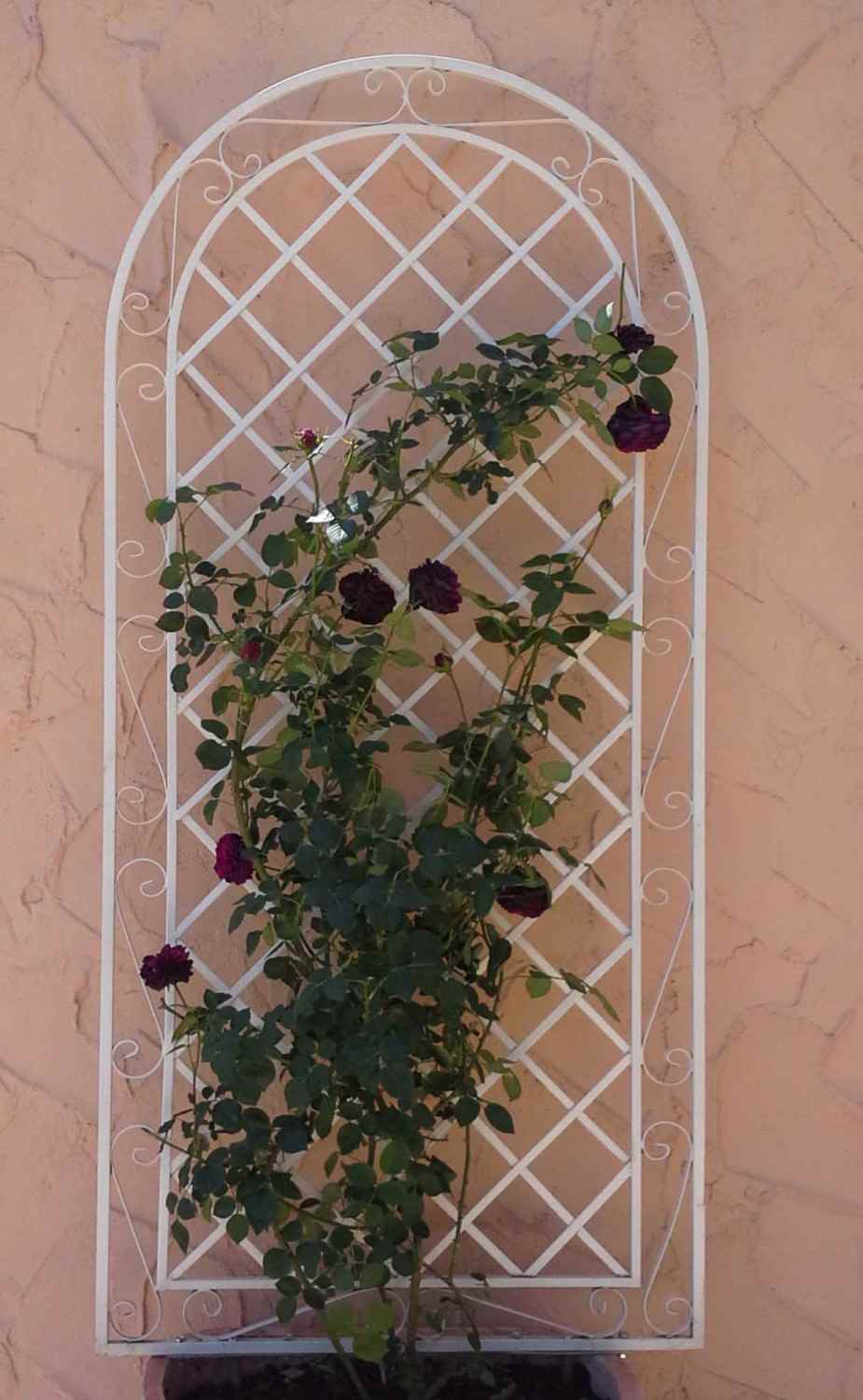 Rankgitter Spalier Rankhilfe Wandgitter Provence XXL verzinkt weiss Rundbogen RIESIG Rankgitter Spalier Rankhilfe Wandgitter Provence XXL verzinkt weiss Rundbogen RIESIG