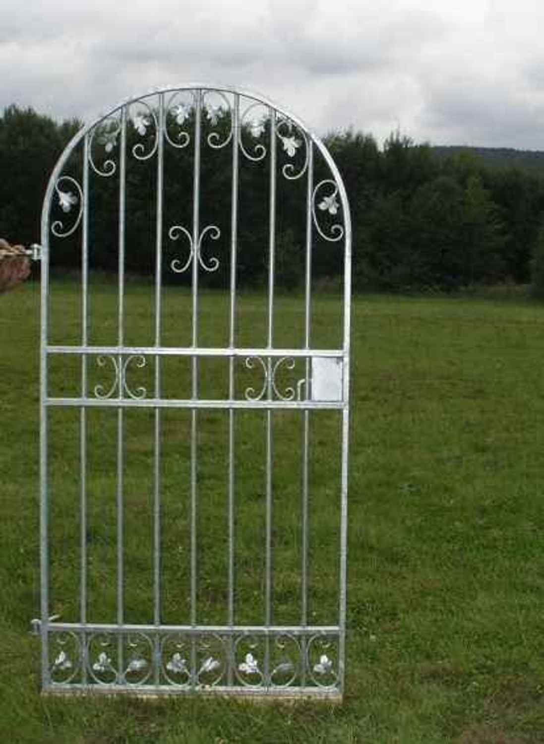 Rundbogen Gartentür Gartentor Tor Rundbogentür Monaco-RBGT 100/180R