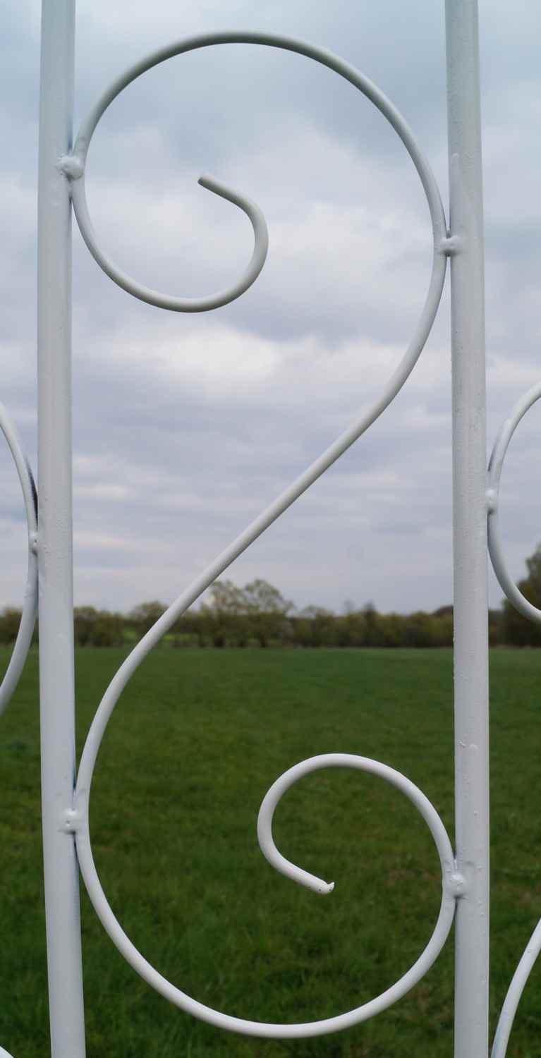 Rankgitter Spalier Rankhilfe Fallrohr halbrund Pisa  Feuer Verzinkt weiss 