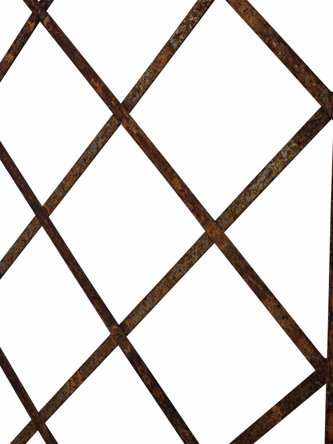 Rankgitter Pflanzenkasten Pflanzkübel Sichtschutz Campano 100 roh Rost Rankgitter Pflanzenkasten Pflanzkübel Sichtschutz Campano 100 roh Rost