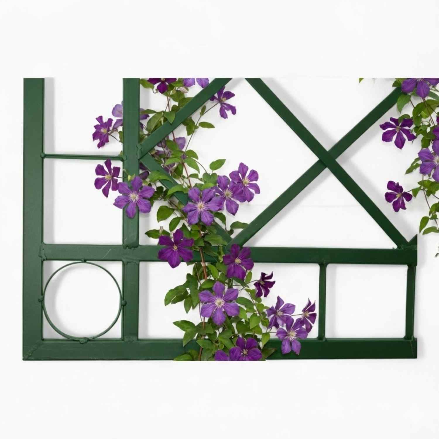 Metall Rankgitter Spalier Rankhilfe Wandgitter Meran 60  / 240 verzinkt Colour