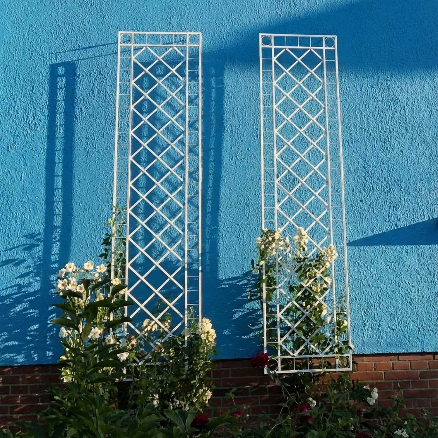 Metall Rankgitter Spalier Rankhilfe Wandgitter Meran 60  / 240 verzinkt Colour