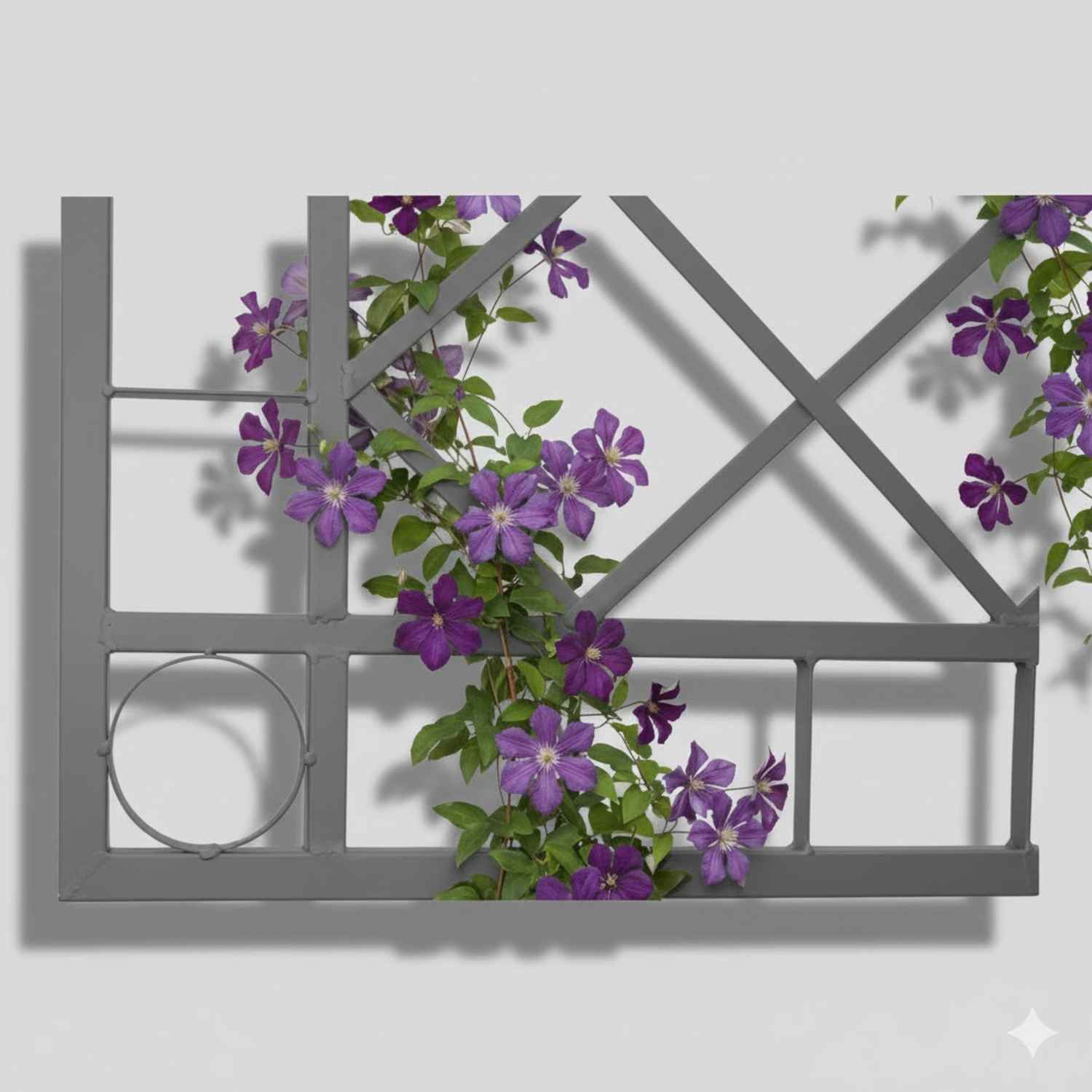 Metall Rankgitter Spalier Rankhilfe Wandgitter Meran 60 / 240 verzinkt Colour Metall Rankgitter Spalier Rankhilfe Wandgitter Meran 60 / 240 verzinkt Colour