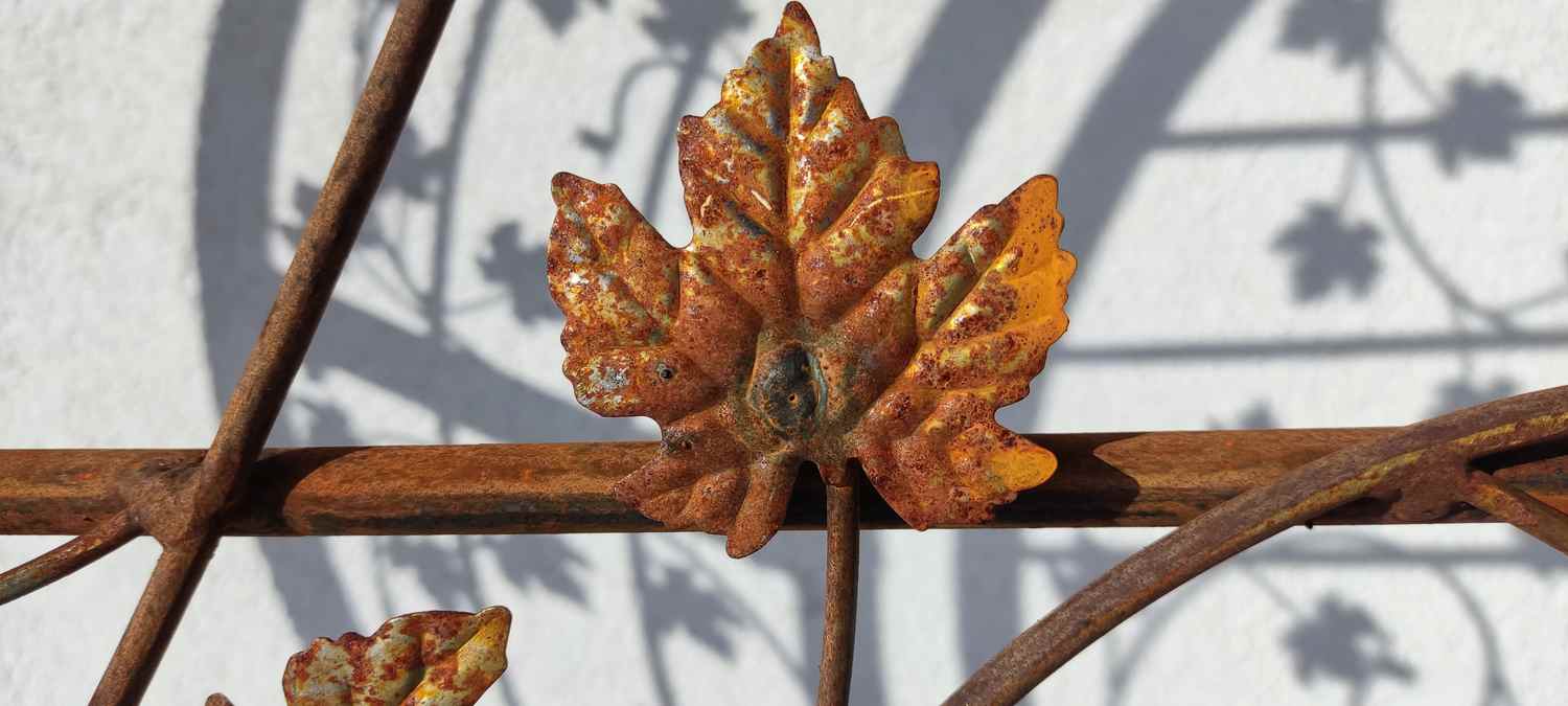 Gartentür Pforte Rosenbogen mit Tür Bachus-GT100-RBS 100/100S Roh Rost