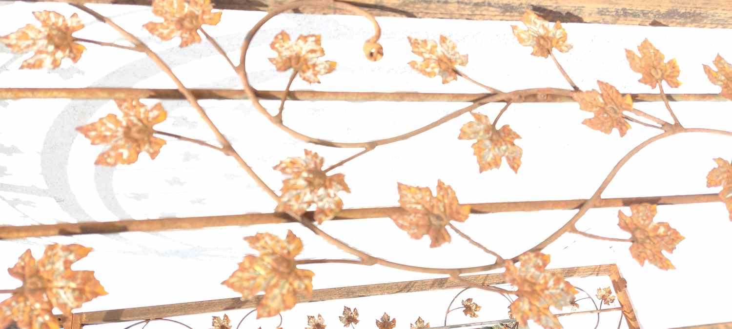 Gartentür Pforte Rosenbogen mit Tür Bachus-GT100-RBS 100/100S Roh Rost