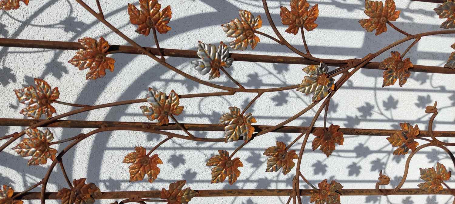 Gartentür Pforte Rosenbogen mit Tür Bachus-GT100-RBS 100/100S Roh Rost