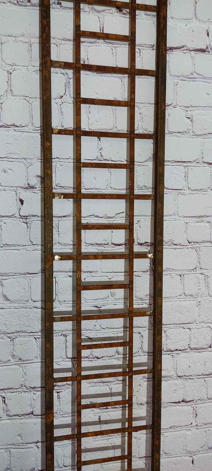 Wand Rankgitter Spalier Rankhilfe Wandgitter Piancella 30 200 roh Rost Wand Rankgitter Spalier Rankhilfe Wandgitter Piancella 30 200 roh Rost