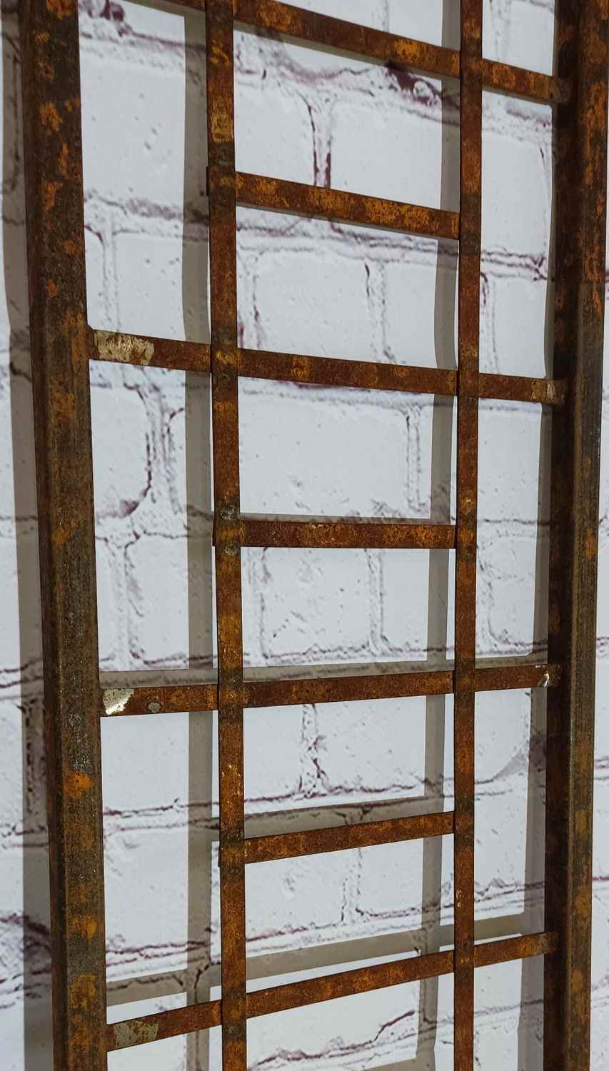 Wand Rankgitter Spalier Rankhilfe Wandgitter Piancella 30 200 roh Rost Wand Rankgitter Spalier Rankhilfe Wandgitter Piancella 30 200 roh Rost