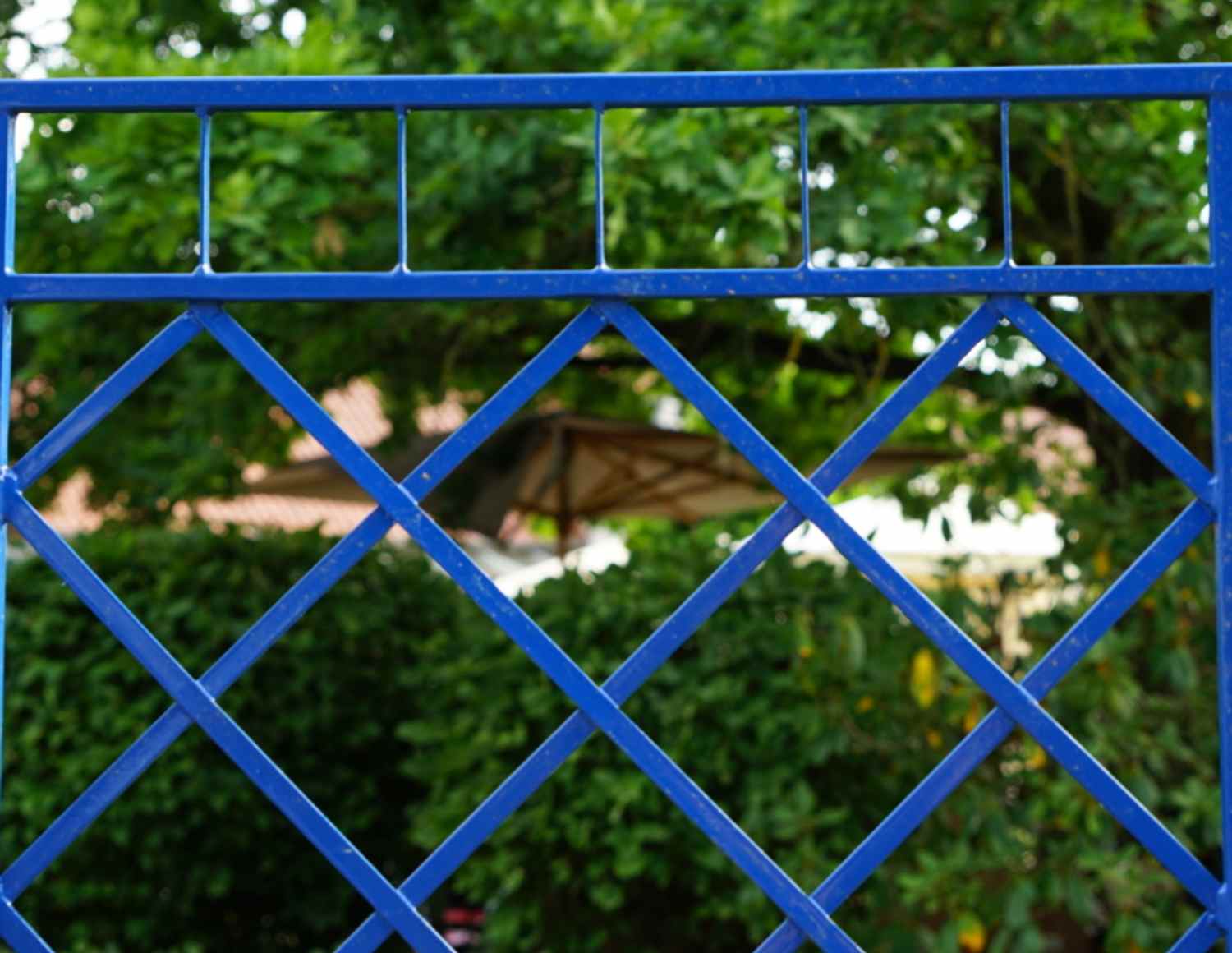 Metall Eisen Spalier Rankgitter Rankhilfe Wandgitter Meran 80 Verzinkt Blau Metall Eisen Spalier Rankgitter Rankhilfe Wandgitter Meran 80 Verzinkt Blau