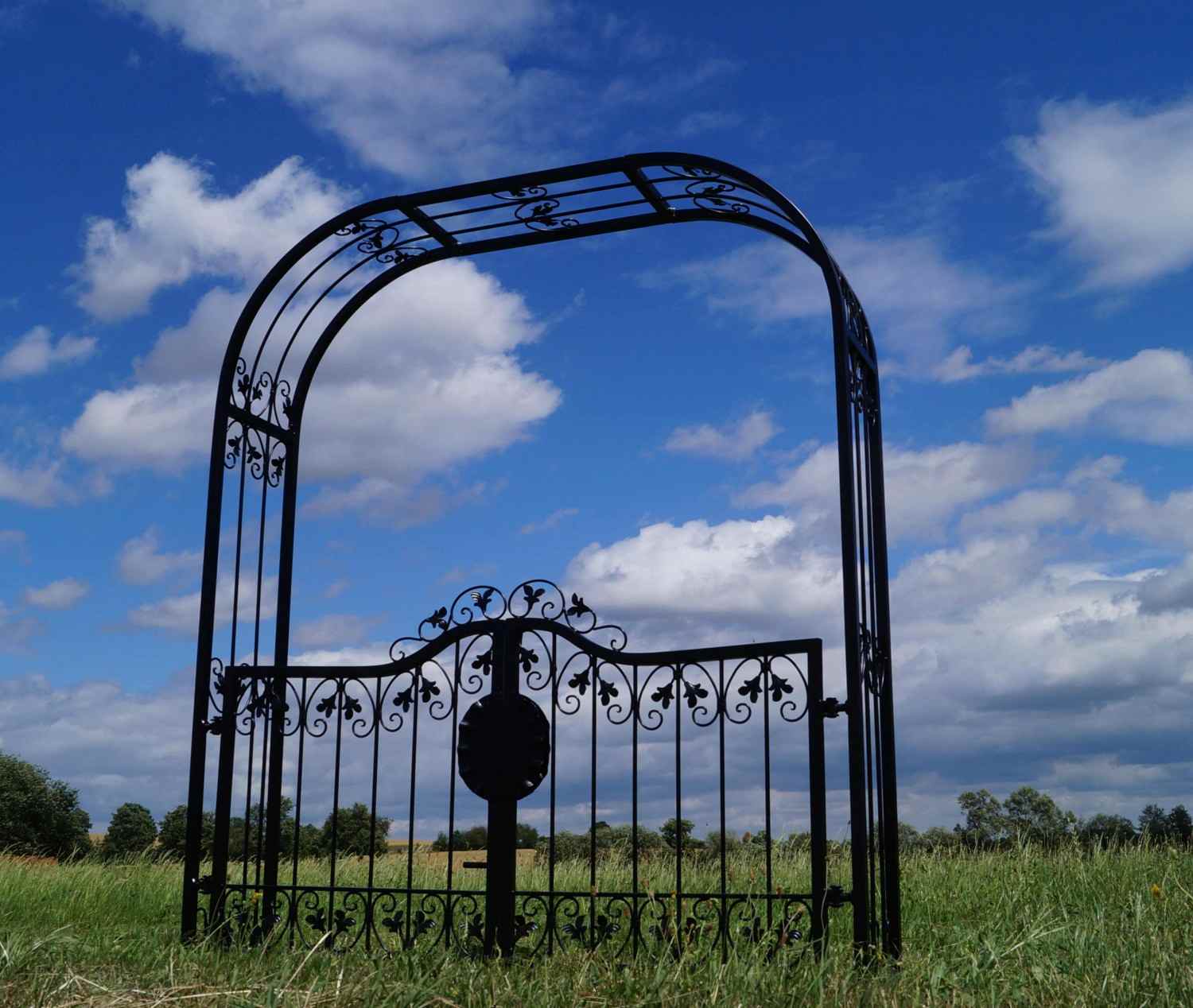 Tor Gartentür Pforte Rosenbogen mit Tür Monaco-RBGT-RBS 170/220 Schloss Schwarz