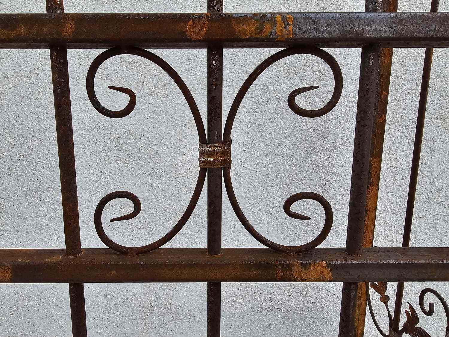 Tor Gartentür Pforte Rosenbogen mit Tür Monaco-RBGT-RBS 100/200 Edel Rost