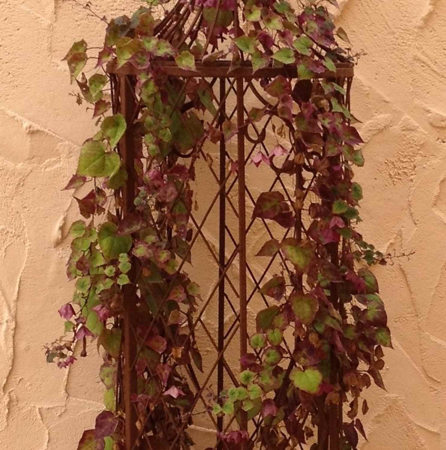 Rankstab Rankhilfe Rankgitter Rankgitter Garten Obelisk Wells XL ROST Clematis