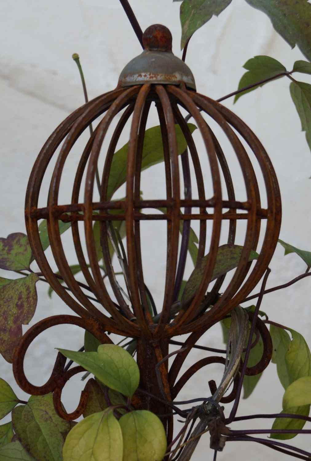 2 Stck. Rankstab Spalier Rosenstab Obelisk Florio roh Rost (2er Set)