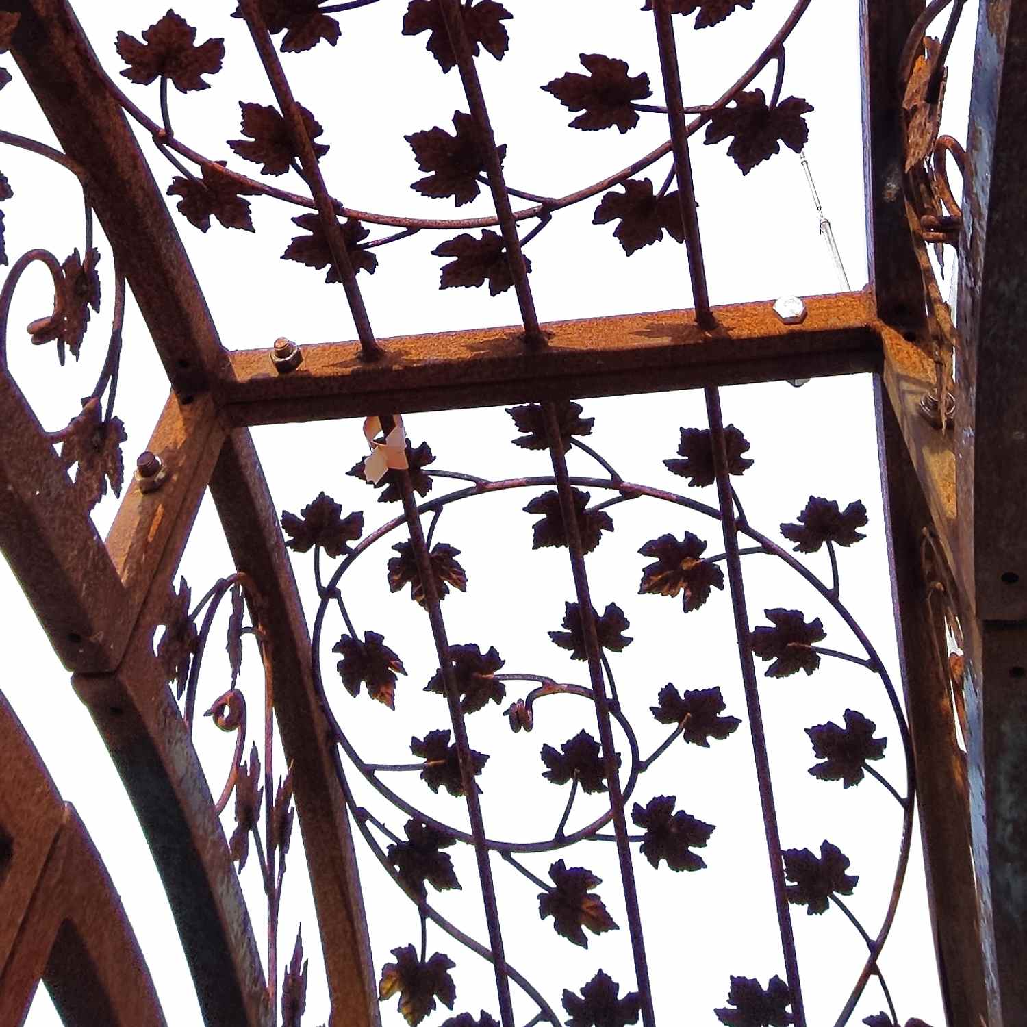 Gartentür Pforte Rosenbogen mit Tür Bachus-RBGT-RBS 250/240/50 Schloss Roh Rost