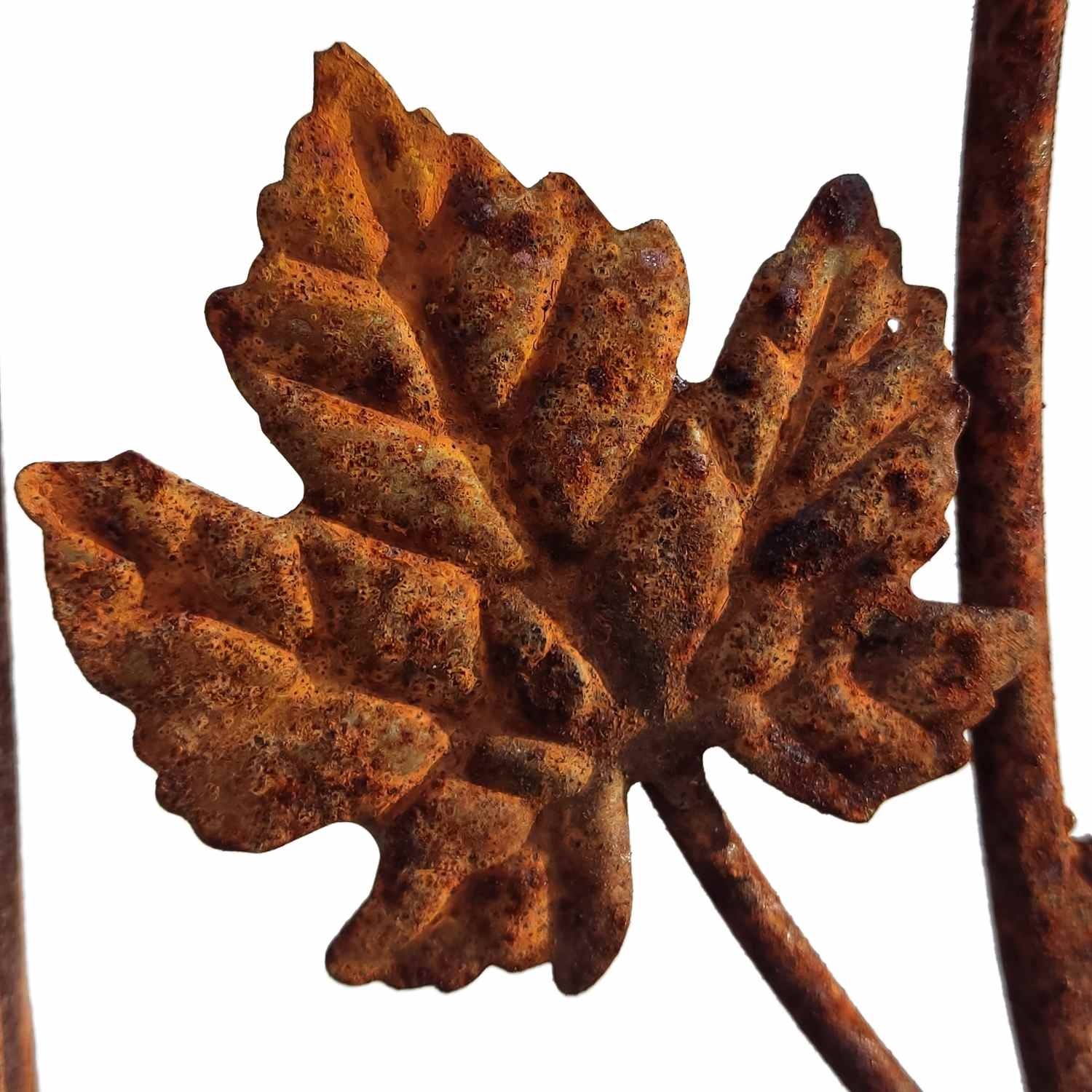 Gartentür Pforte Rosenbogen mit Tür Bachus-RBGT-RBS 250/240/50 Schloss Roh Rost