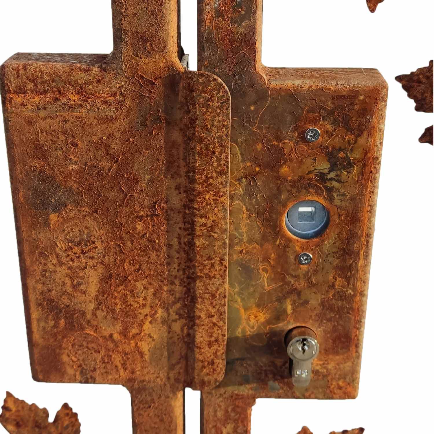 Gartentür Pforte Rosenbogen mit Tür Bachus-RBGT-RBS 250/240/50 Schloss Roh Rost