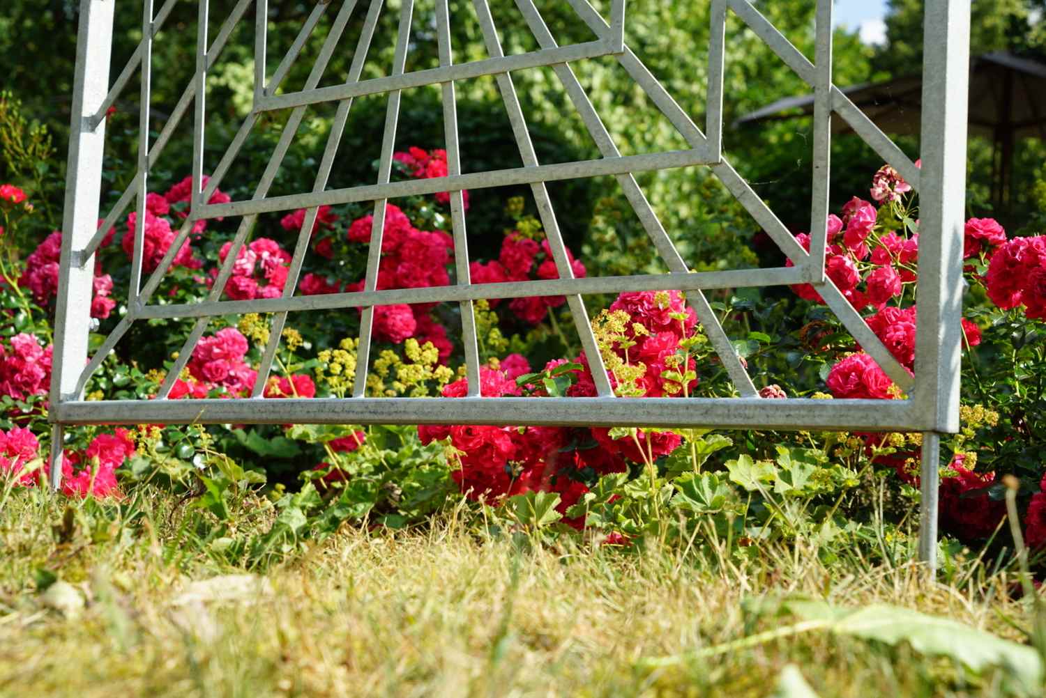 Metall Eisen Spalier Rankgitter Wandgitter Portofino 100 200 FEUER Verzinkt Weiß Metall Eisen Spalier Rankgitter Wandgitter Portofino 100 200 FEUER Verzinkt Weiß