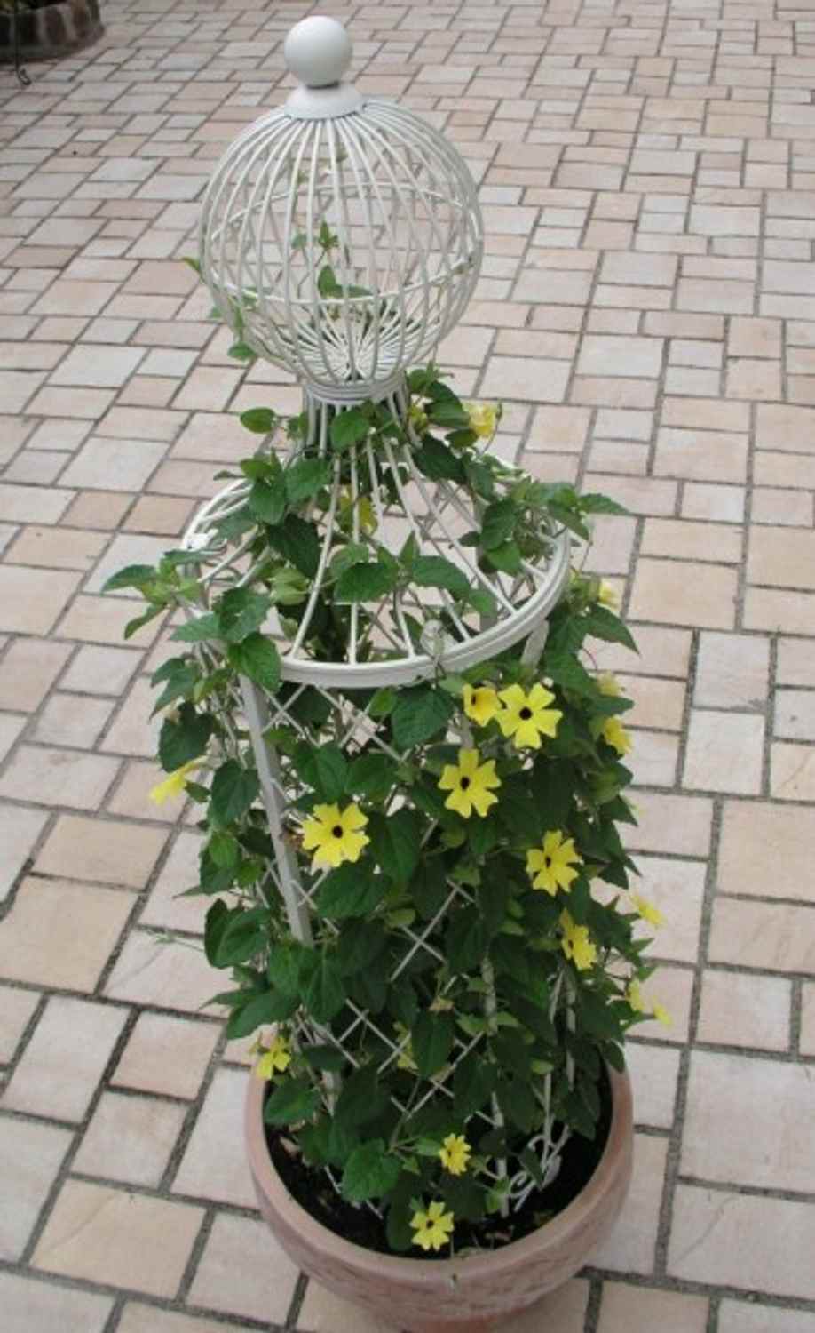 Rankstab Rankhilfe Pfosten Obelisk Wells 135cm Weiß