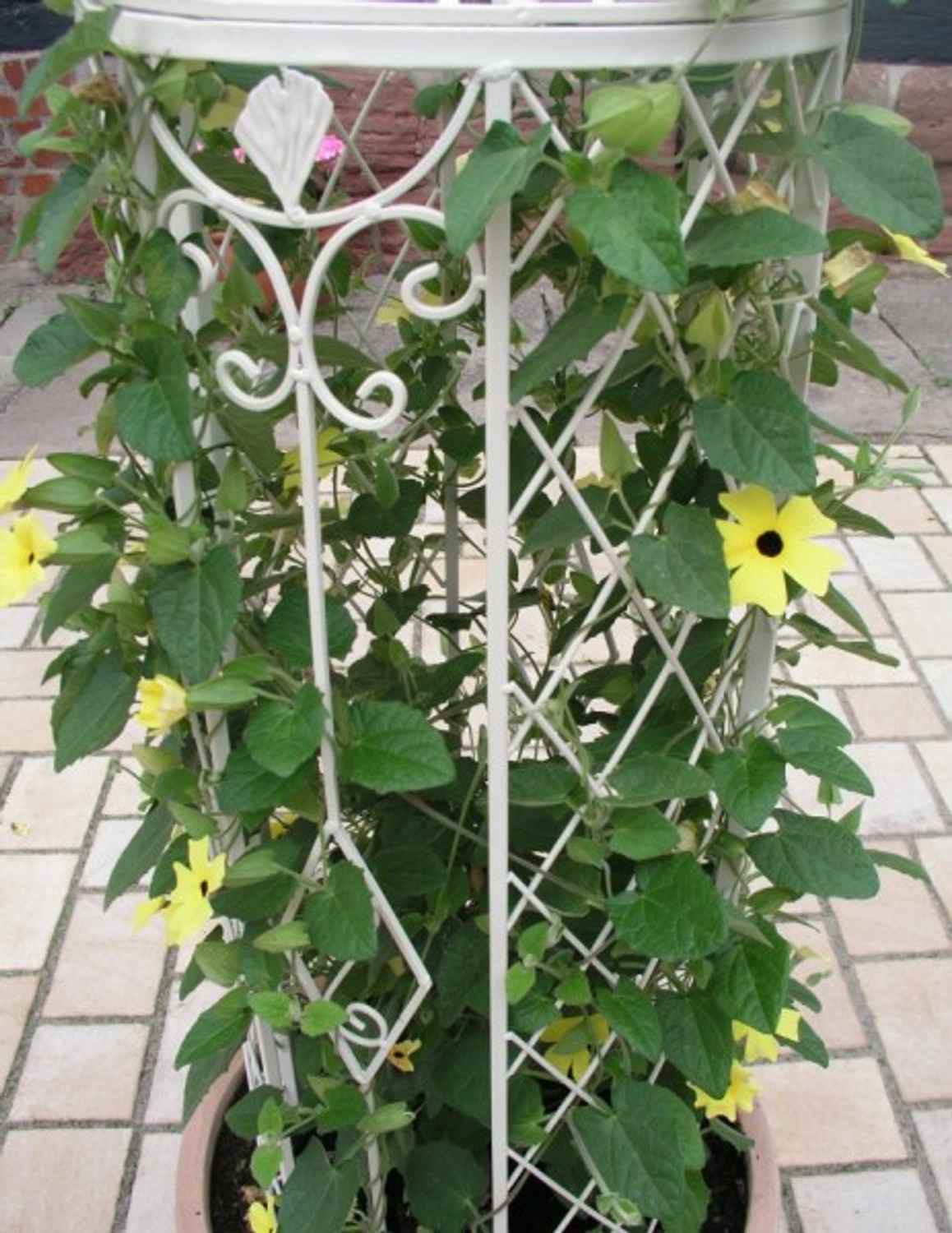 Rankstab Rankhilfe Pfosten Obelisk Wells 135cm Weiß