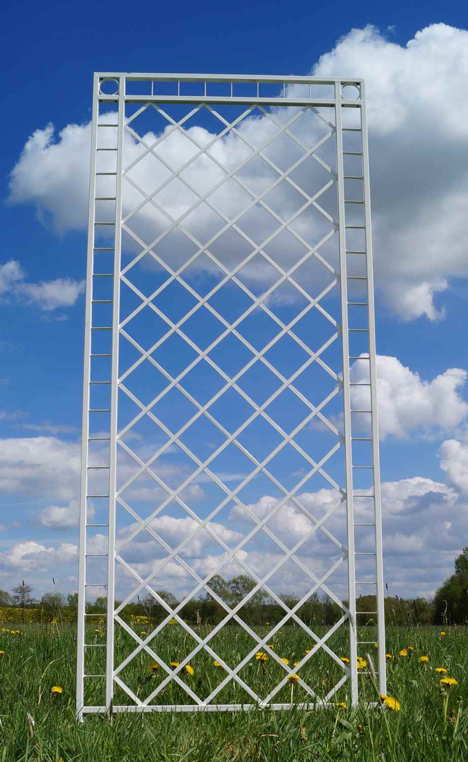 Metall Eisen Spalier Rankgitter Rankhilfe Wandgitter Meran 100 200 FEUER Verzinkt grau RAL 7016