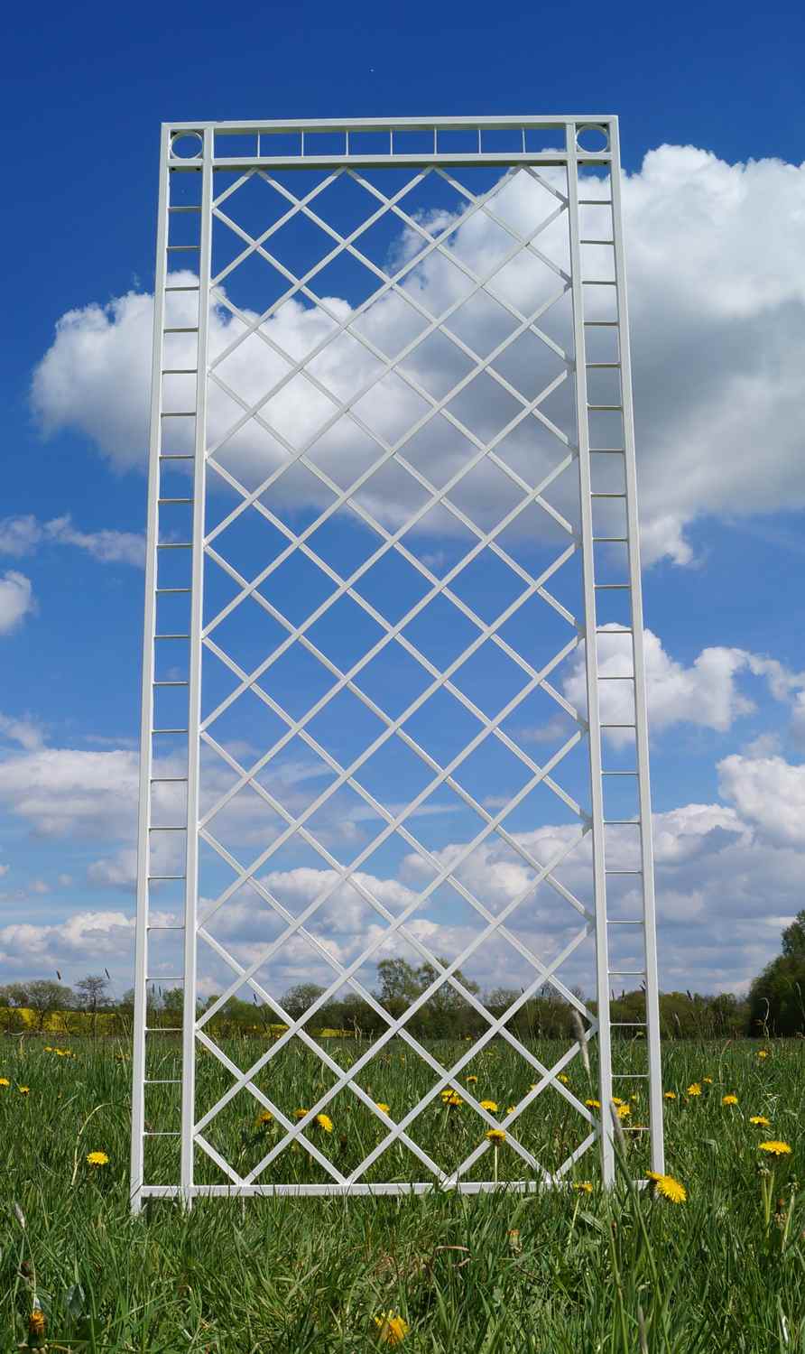 Metall Eisen Spalier Rankgitter Rankhilfe Wandgitter Meran 100 200 FEUER Verzinkt grau RAL 7016