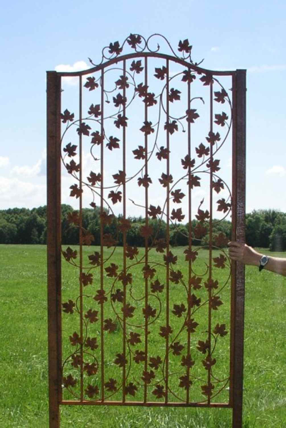 Rankgitter Spalier Rankhilfe Bachus-SBRG 100/200 Rost