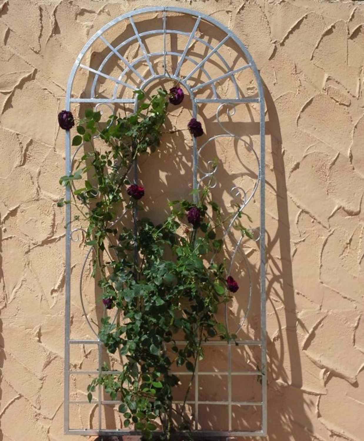 Landhaus Rankgitter Spalier Rankhilfe Rankwand Ramona Feuer Verzinkt Landhaus Rankgitter Spalier Rankhilfe Rankwand Ramona Feuer Verzinkt