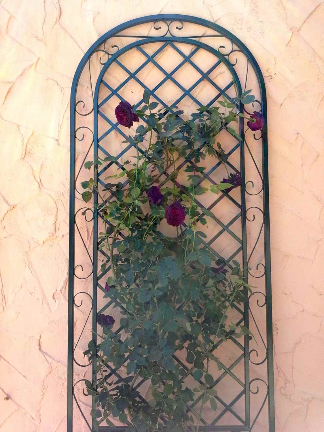 Rankgitter Spalier Rankhilfe Wandgitter Provence Feuer Verzinkt Grün RAL 6005 Rankgitter Spalier Rankhilfe Wandgitter Provence Feuer Verzinkt Grün RAL 6005