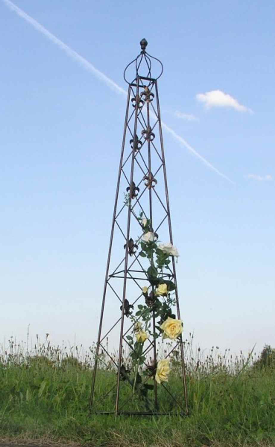 Rankstab Rankhilfe Rank Pfosten Obelisk Cornwall Schwarz Rankstab Rankhilfe Rank Pfosten Obelisk Cornwall Schwarz