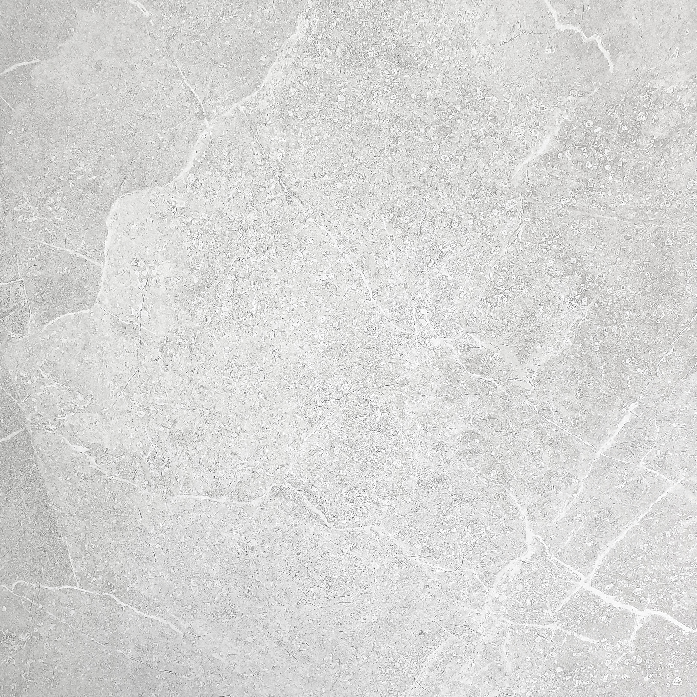 Bodenfliese Pisa Silver 60x60 cm Glänzend rektifiziert | Fliesenmarktborken