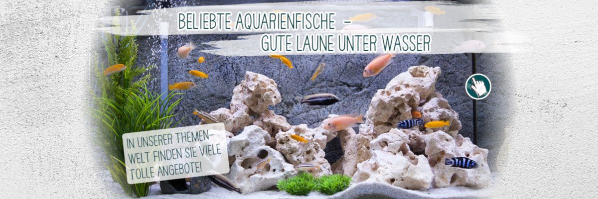 Aquarienfische