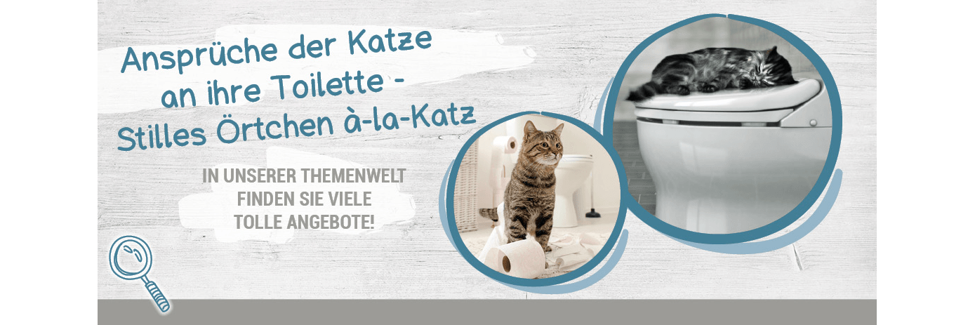 Katzentoilette