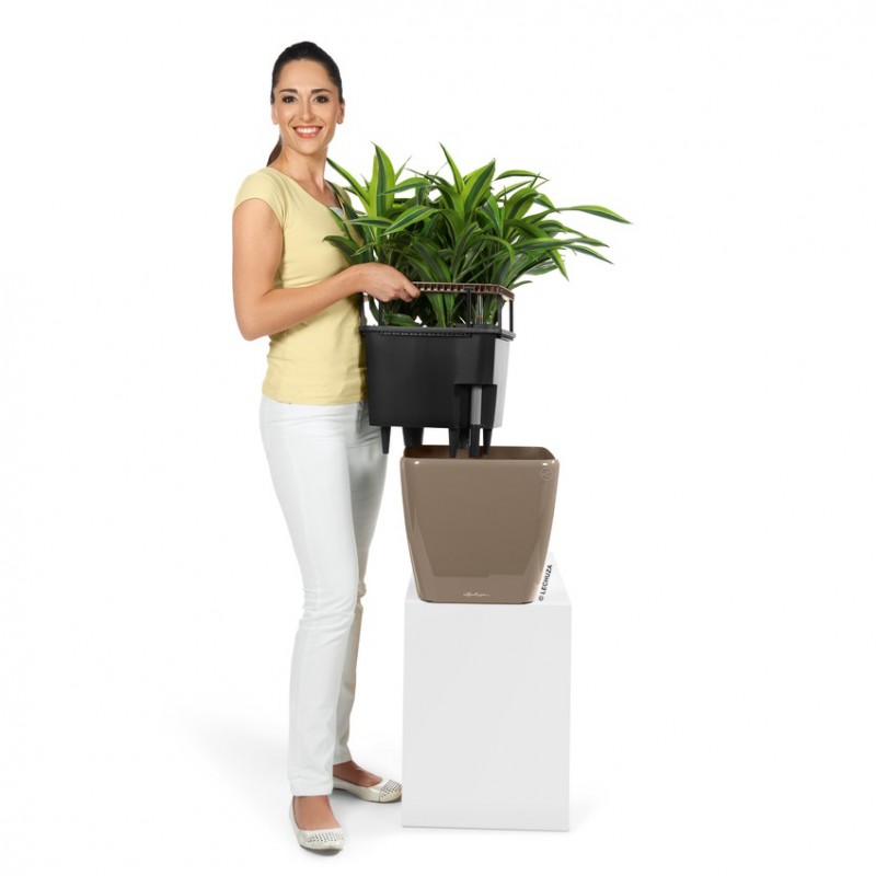 Vaso LECHUZA QUADRO Premium LS 43 Taupe Lucido - Con Sistema Di Irrigazione Automatica E Indicatore Livello - Made In Germany