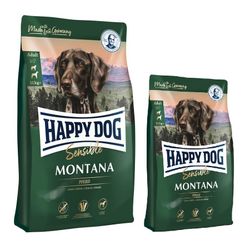 Happy-Dog-Sensible-Montana-
