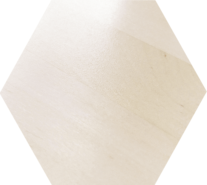 Bio-Birkenholz von BioKinder