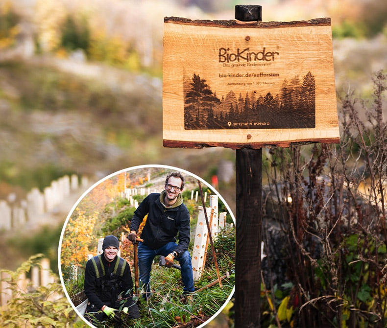 Aufforsten mit BioKinder