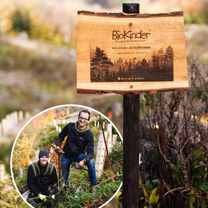 Aufforsten mit BioKinder