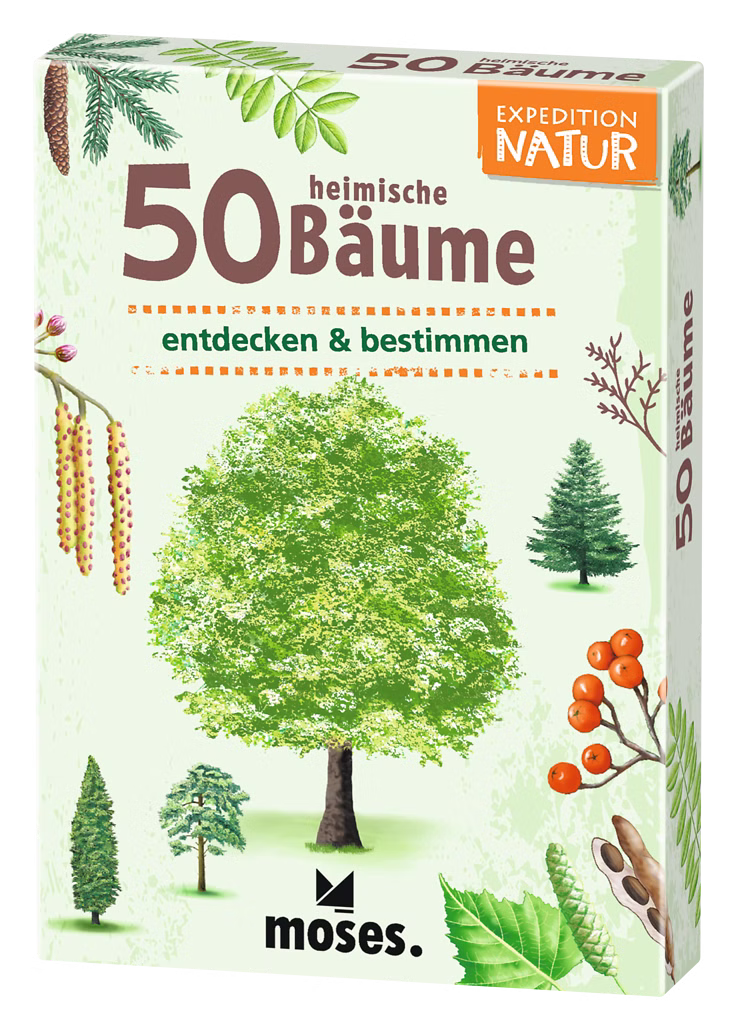 Quiz - 50 heimische Bäume Quiz - 50 heimische Bäume