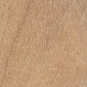 Beispielhafte Oberfläche einer Holzoberfläche in Tropenholz Iroko